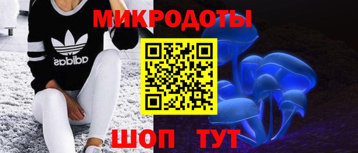 где продают наркотики  Галлюциногенные грибы MAGIC MUSHROOMS  Канск  Вход с VPN  Галлюциногенные грибы ЛСД 