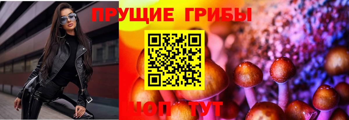 Псилоцибиновые грибы мухоморы Канск